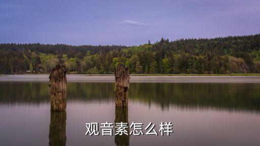 观音素，兰花大凤素和观音素谁好看一点