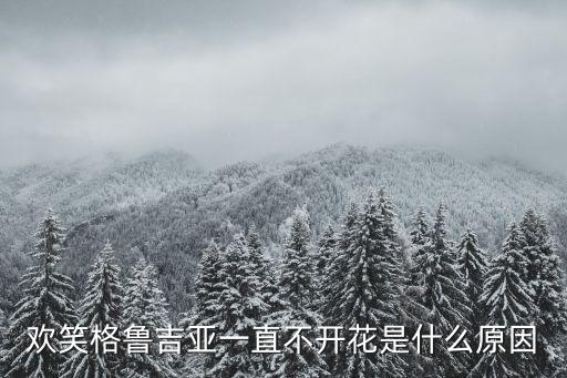 黄金庆典月季，藤本月季托玛斯和黄金庆典哪个好