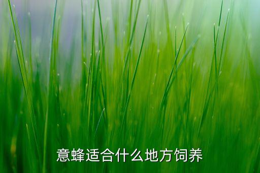 意蜂养殖技术，罗威纳怎么喂养才厉害