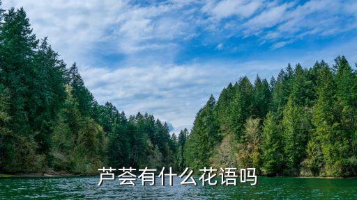 芦荟花语，芦荟代表的意思男生送女生