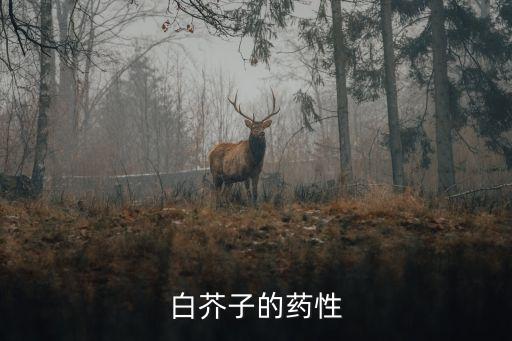白芥子的药性