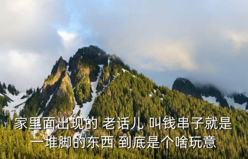 钱串子，钱串子咬人吗