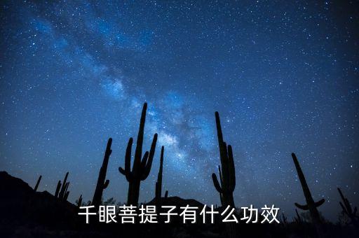 千眼菩提子有什么功效