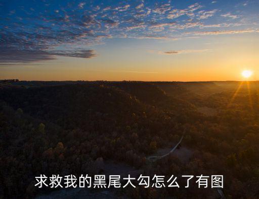 黑尾大勾，画面怎么有竖条黑尾大钩谁知道怎么能下去