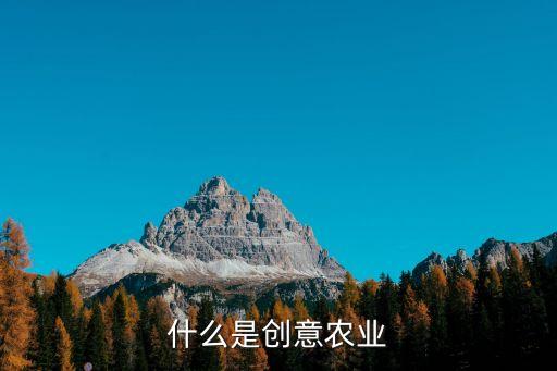 什么是创意农业