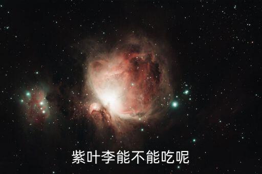 紫叶李能不能吃呢