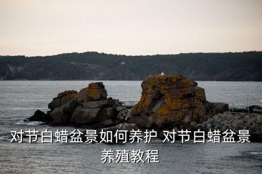 对节白蜡盆景，对节白蜡盆景分哪些种类