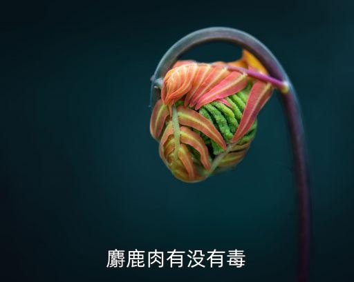 麝鹿，麝鹿好养殖么