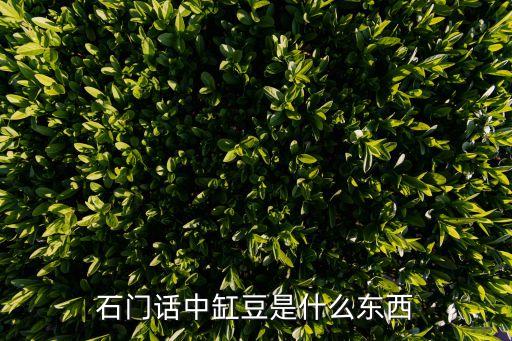 缸豆，石门话中缸豆是什么东西