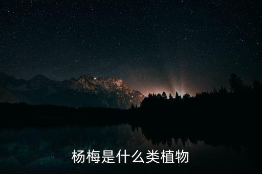 杨梅是什么类植物
