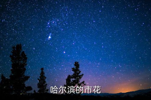 哈尔滨市市花，哈尔滨的市花是什么