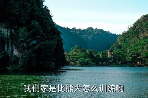 比熊怎么训练，比熊犬怎么训练有什么方法