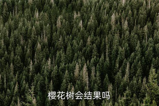樱花树会结果吗