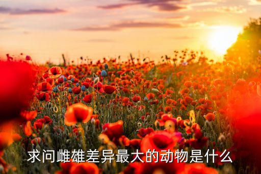 求问雌雄差异最大的动物是什么