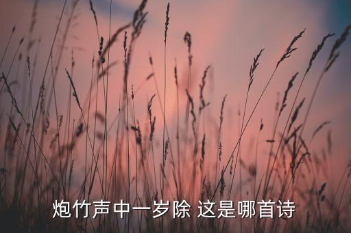 一岁除，一岁除是什么意思