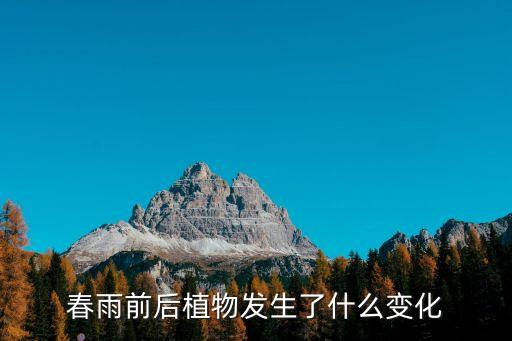 春雨前后植物发生了什么变化