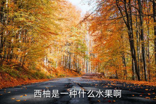 西柚是什么水果，西柚到底是啥东西