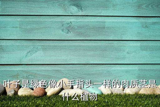 小手球花，为什么手上会起小手刺原因是什么