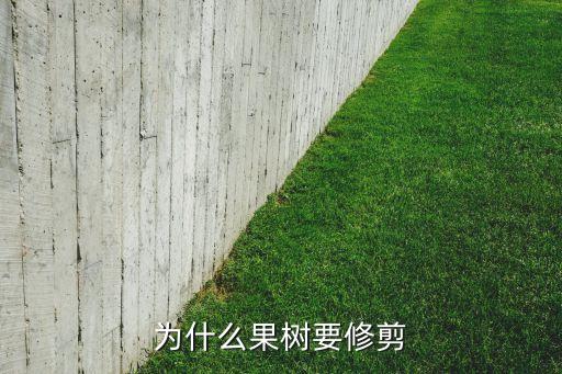 为什么果树要修剪