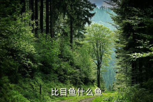 比目鱼长什么样，比目鱼是什么鱼