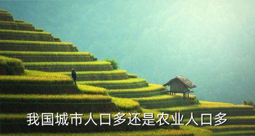 我国城市人口多还是农业人口多