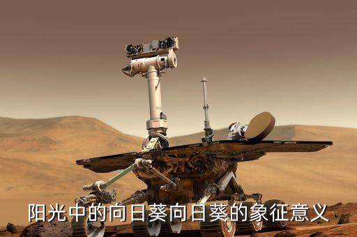 阳光中的向日葵，阳光中的向日葵向日葵的象征意义