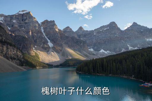 槐树叶子图片，槐树干像什么叶子像什么