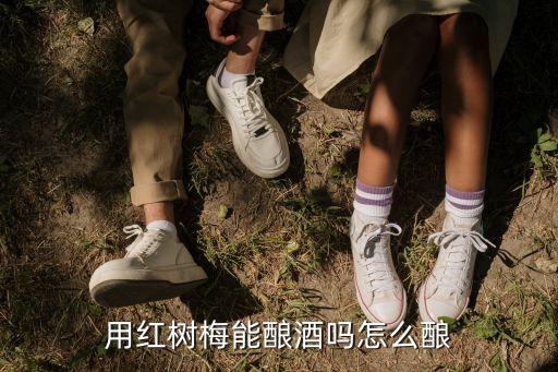 红树梅，红树梅风水
