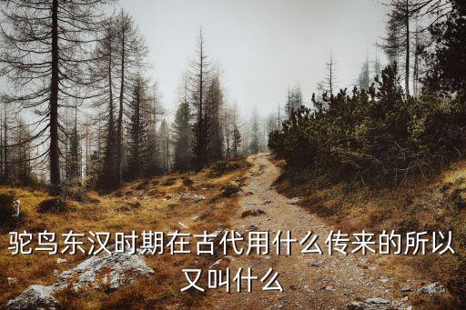 驼鸟，驼鸟东汉时期在古代用什么传来的所以又叫什么