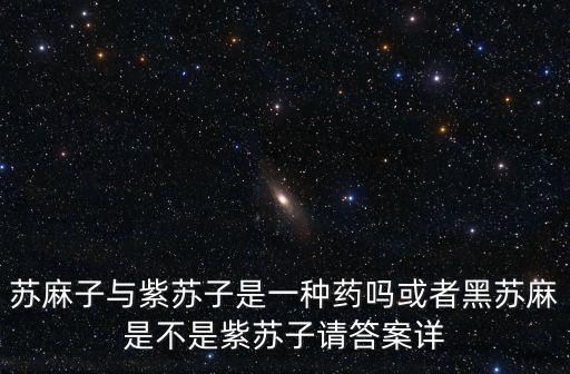 紫苏子图片，紫苏子可以治疗什么
