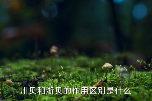 川贝的图片，水母的基本资料和图片