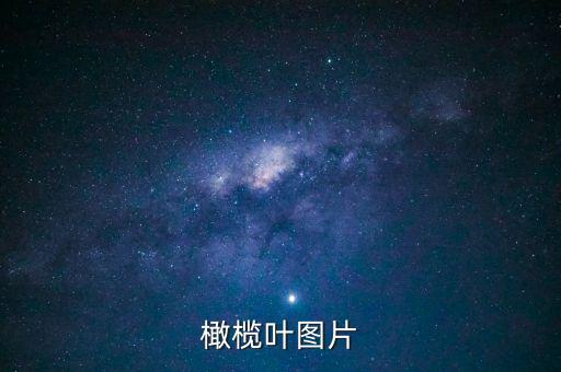 独蒜兰图片，绞股蓝的种类和图片