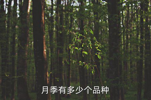 艾莎月季，世霸月季跟小魔女甜心月季哪个好