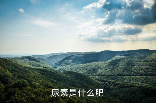 尿素化肥，尿素是化肥吗