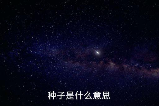 种子是什么意思
