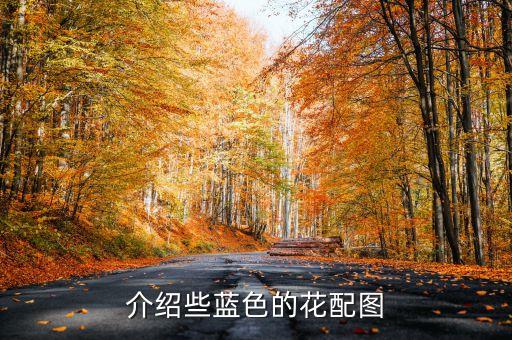 介绍些蓝色的花配图