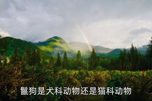 鬣狗是犬科动物还是猫科动物