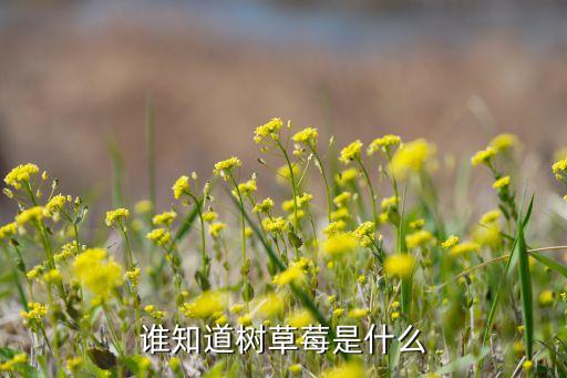 谁知道树草莓是什么