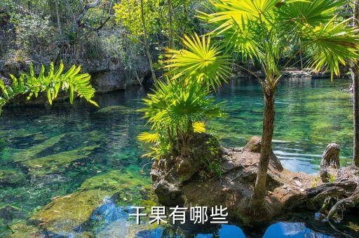 干果有哪些