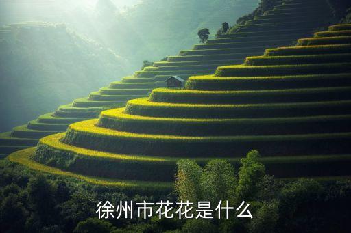徐州市花花是什么