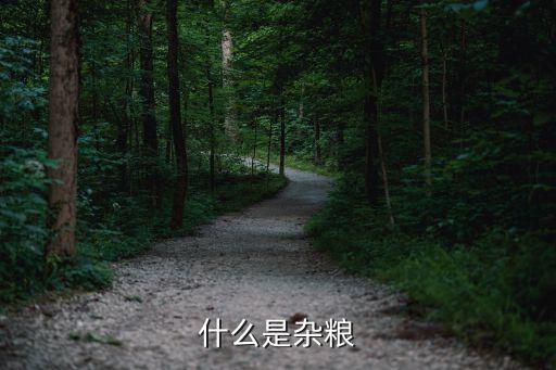 什么是杂粮