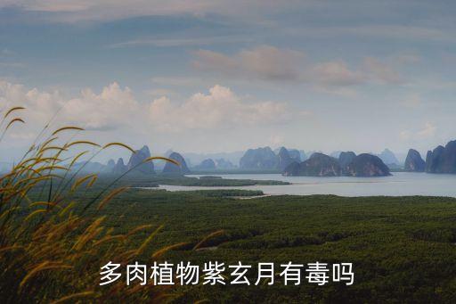 紫玄月，多肉植物紫玄月有毒吗