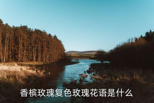 香槟玫瑰花束图片，香槟玫瑰复色玫瑰花语是什么