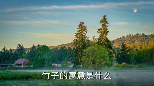 竹子的寓意是什么