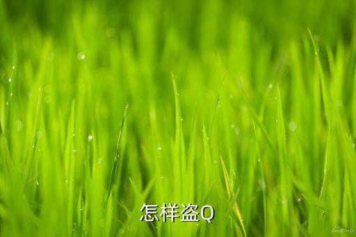怎样盗Q