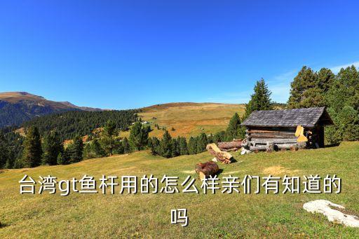 台湾gt鱼杆用的怎么样亲们有知道的吗
