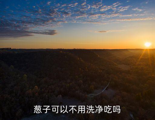 葱子可以不用洗净吃吗