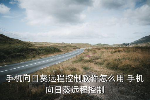 手机向日葵远程控制软件怎么用 手机向日葵远程控制