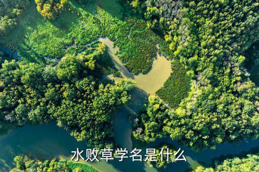 败草，水败草学名是什么