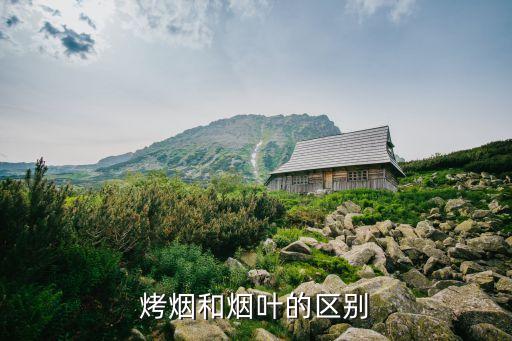 烤烟和烟叶的区别